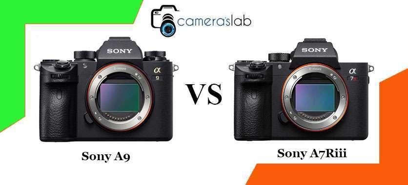 Sony A9 vs A7Riii