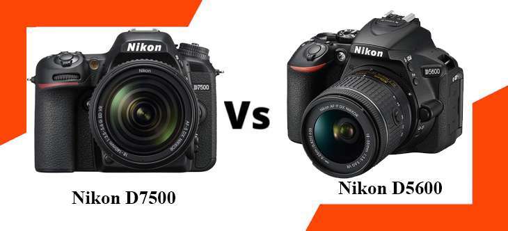 Nikon D5600 vs D7500