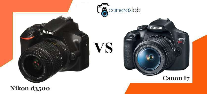 Nikon d3500 vs Canon t7