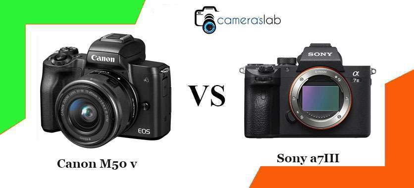 Canon M50 vs Sony a7III