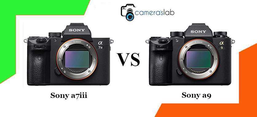 Sony a9 vs a7iii
